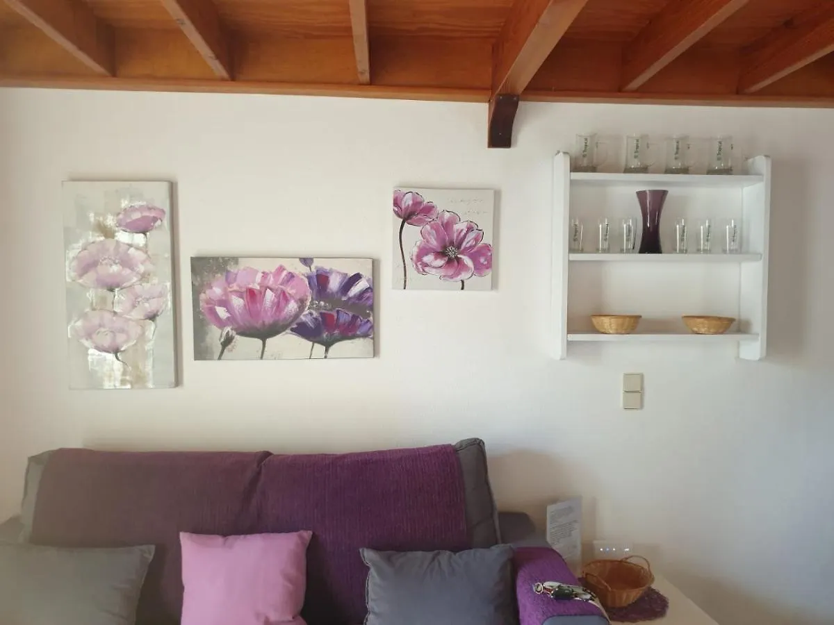 Relax A 10 Minuti Da Corralejo Villa Parque Holandes Spain